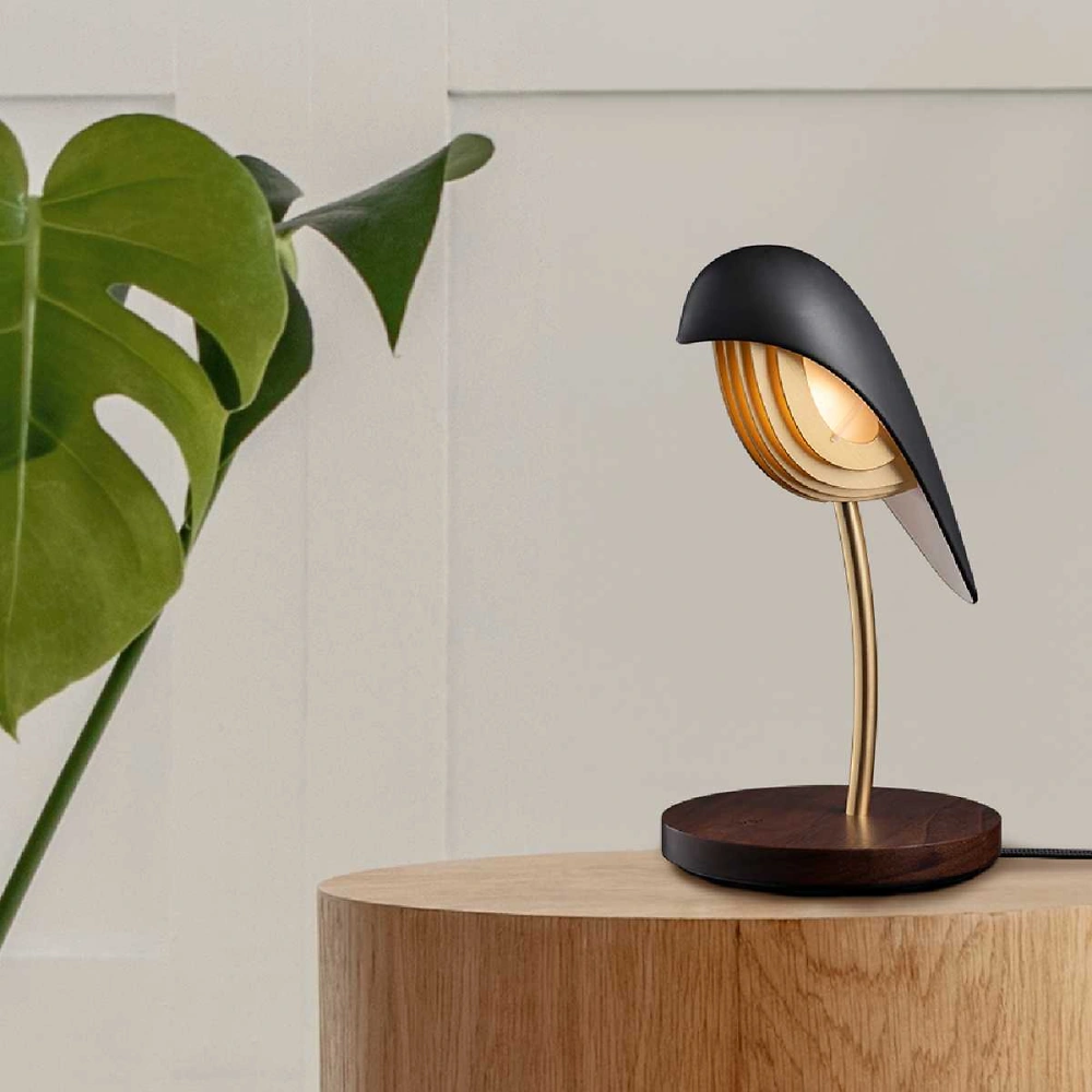 DAQI CONCEPT Bird | Onyx Black