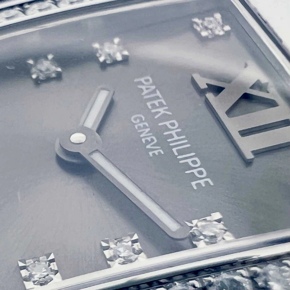 PATEK PHILIPPE Twenty~4
