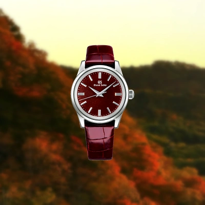 CE13C217 2914 4837 B403 5EC446AF0AD3